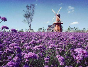 法國展會設計應當從哪幾個層面評價呢?